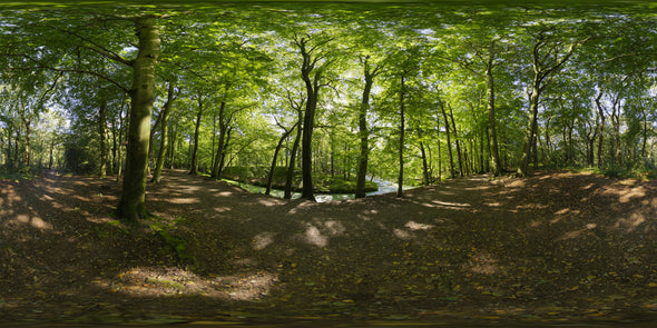 Dutch Free 360° HDRI – 015 | Forest scene panoramic version